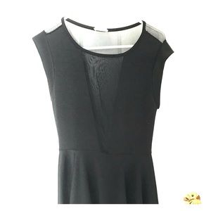 Black Sheer skater dress